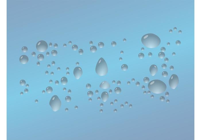 Water Vector Water Vector