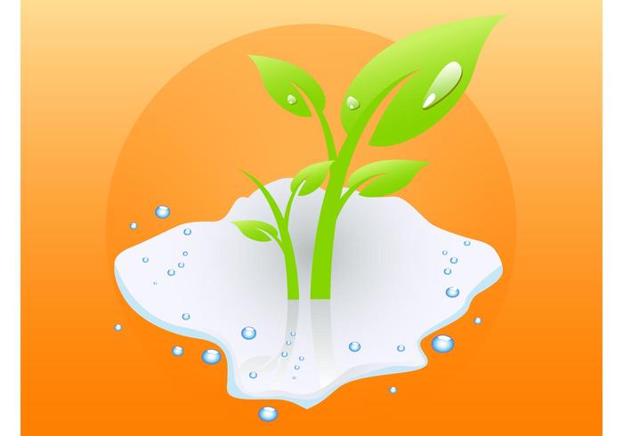 Wet Plant Wet Plant