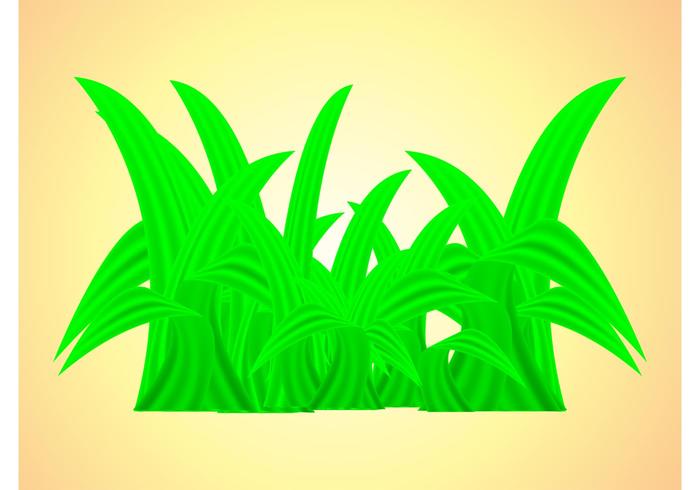 Fresh Grass Fresh Grass