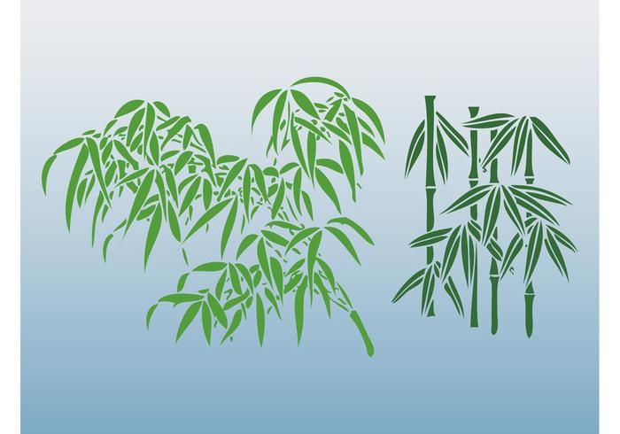 Bamboo Designs Bamboo Designs