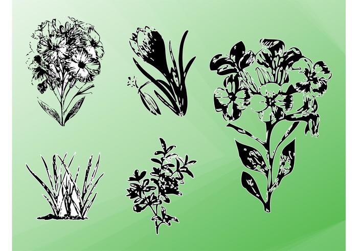Vector Plants Vector Plants