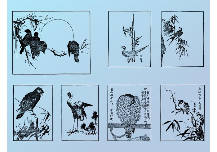 Japanese Birds Japanese Birds
