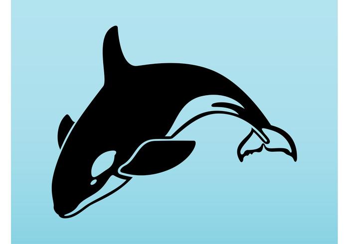 Orca Vector Orca Vector