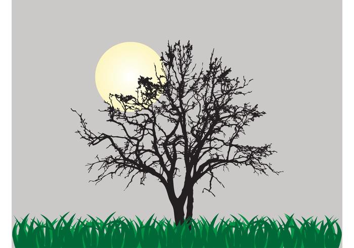 Tree Vector Tree Vector