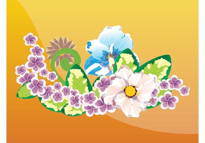 Blooming Flowers Blooming Flowers