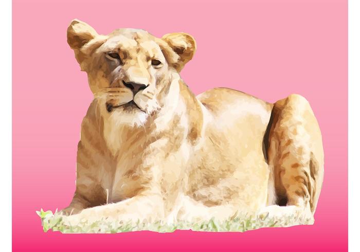 Female Lion Vector Female Lion Vector