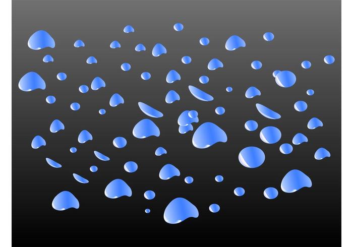 Water Drops Vector