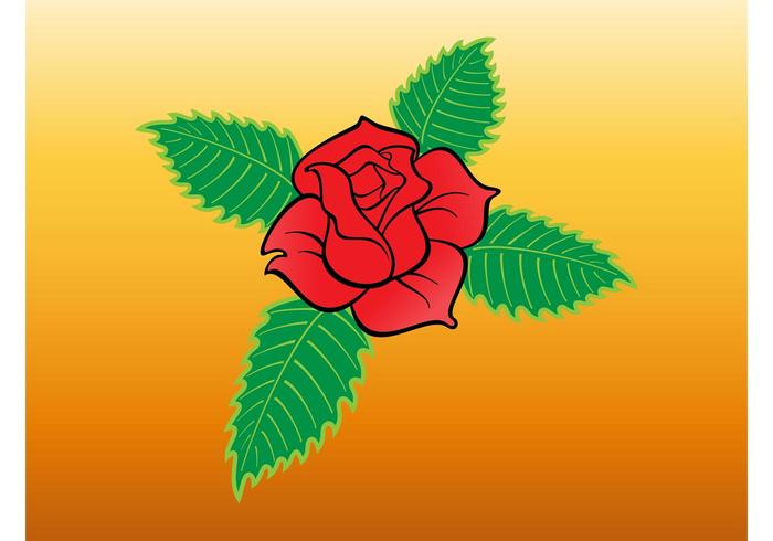 Red Rose Red Rose