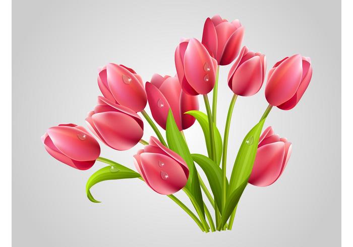 Realistic Tulips Realistic Tulips