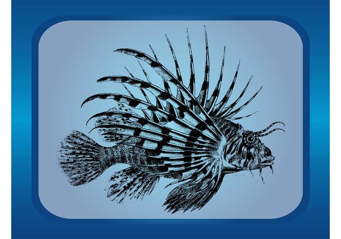 Exotic Fish Exotic Fish