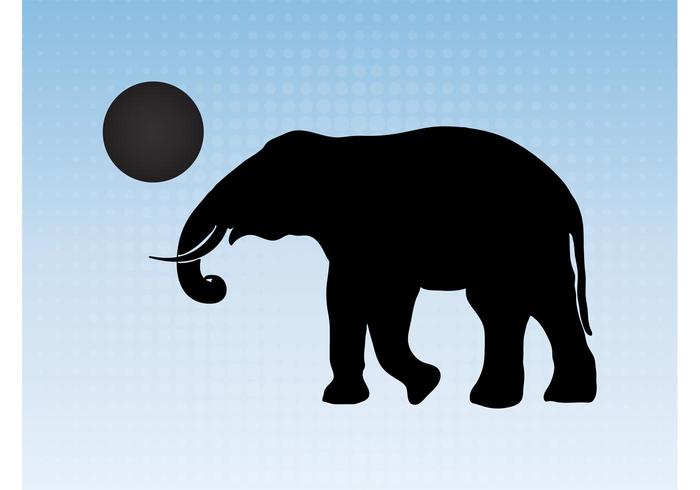 Elephant With Ball