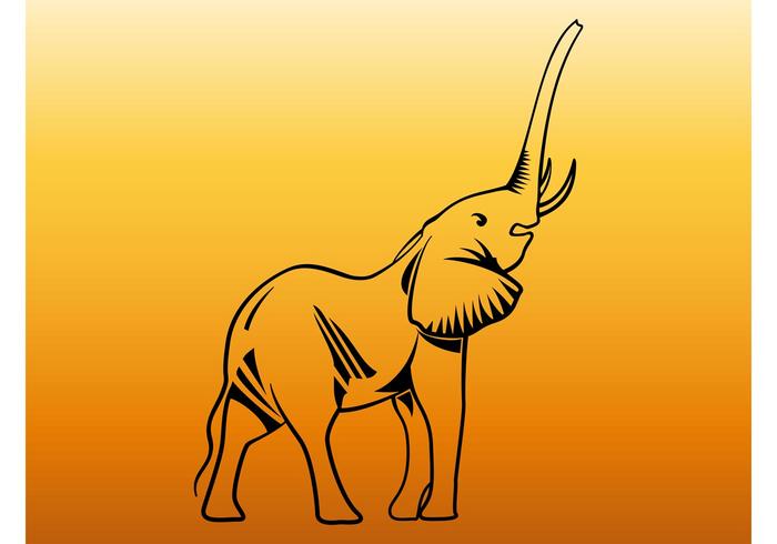 Baby Elephant Graphics Baby Elephant Graphics