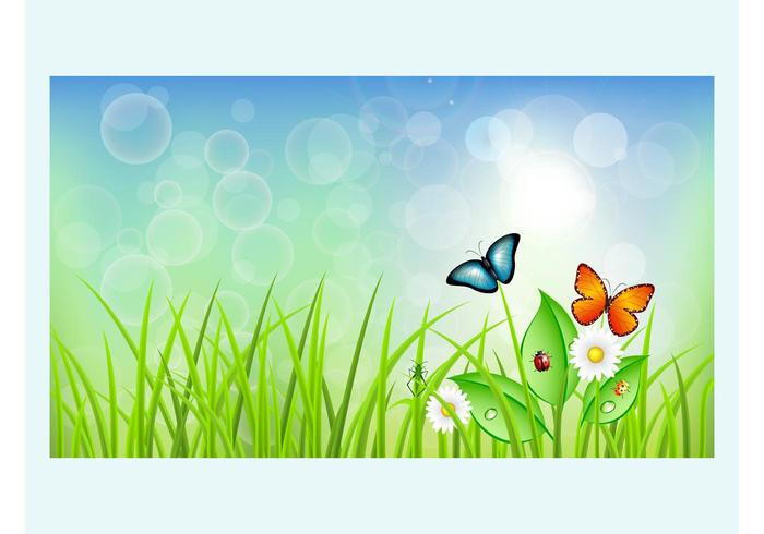 Springtime Springtime