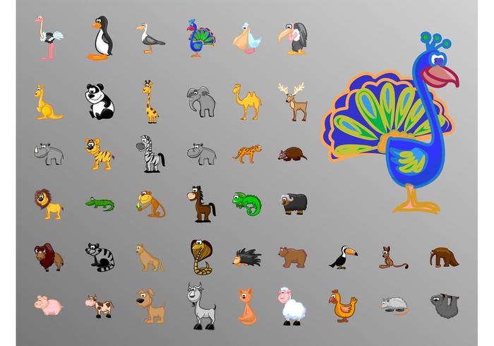 Cartoon Animals Cartoon Animals