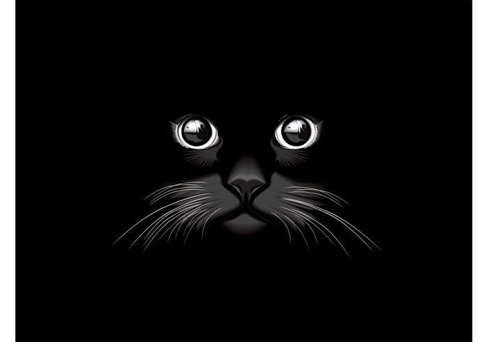 Black Cat Vector Black Cat Vector