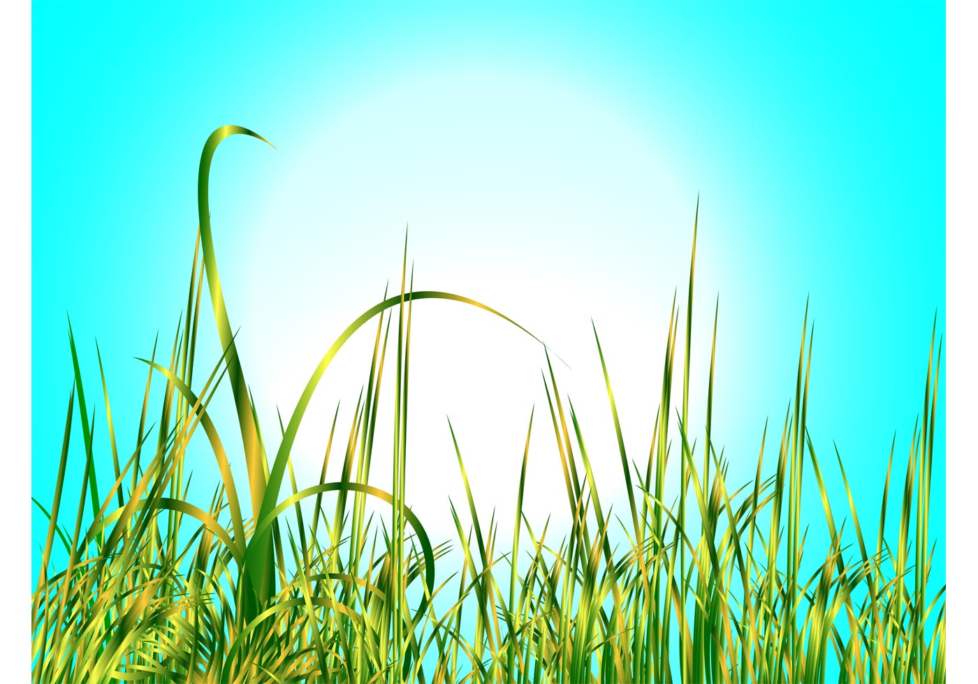 Download Grass - Download Free Vector Art, Stock Graphics & Images