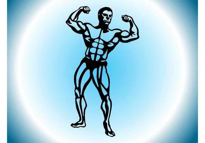 Download Muscular Man - Download Free Vector Art, Stock Graphics & Images
