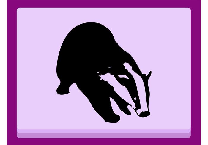 Badger Badger
