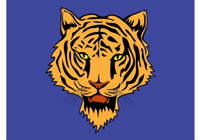 Tiger Clipart Tiger Clipart