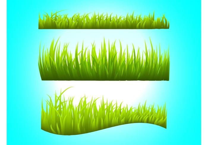 Grass Stems Vectors Grass Stems Vectors