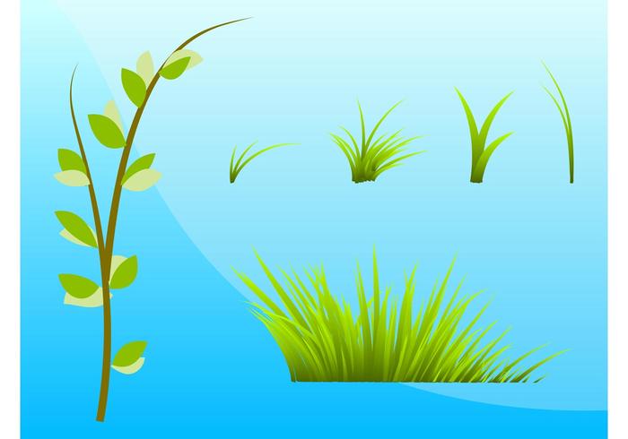 Grass And Plants Grass And Plants