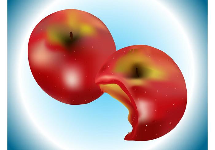 Apple Vectors Apple Vectors