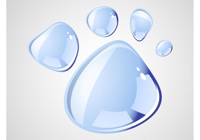 Shiny Droplets Shiny Droplets