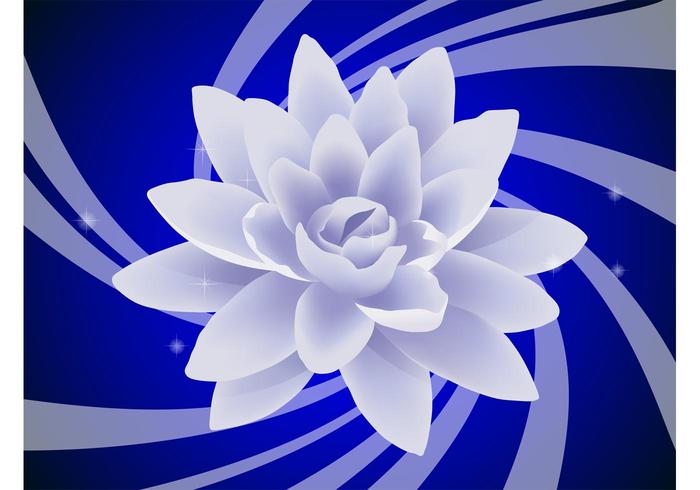 Mystic Flower Mystic Flower