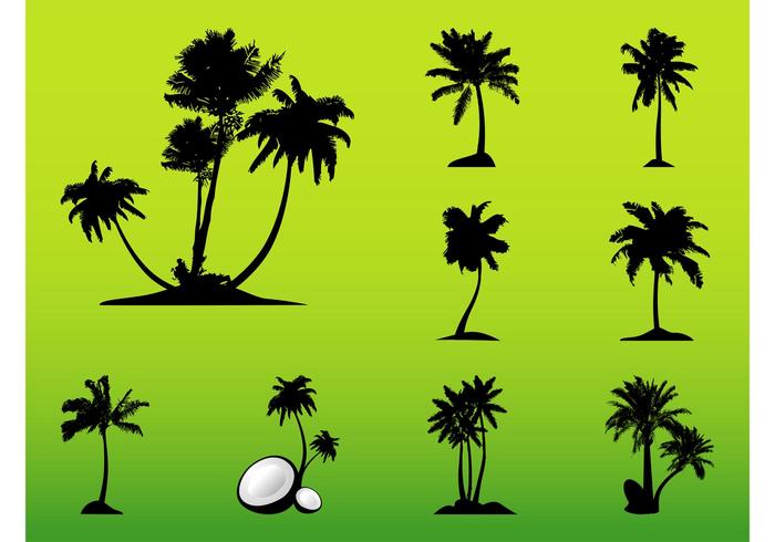 Vector Palm Trees