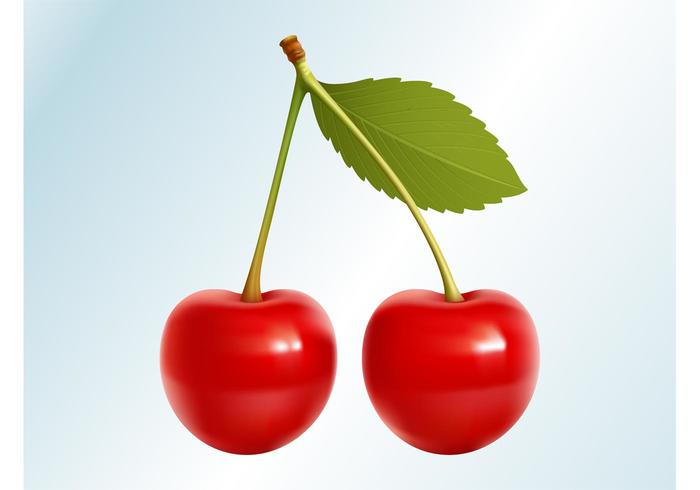 Realistic Cherries Realistic Cherries