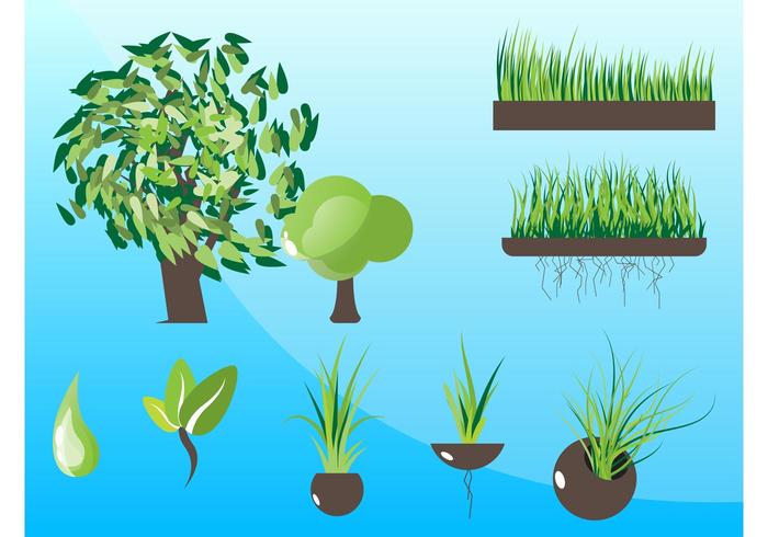 Plants Graphics Vectors Plants Graphics Vectors