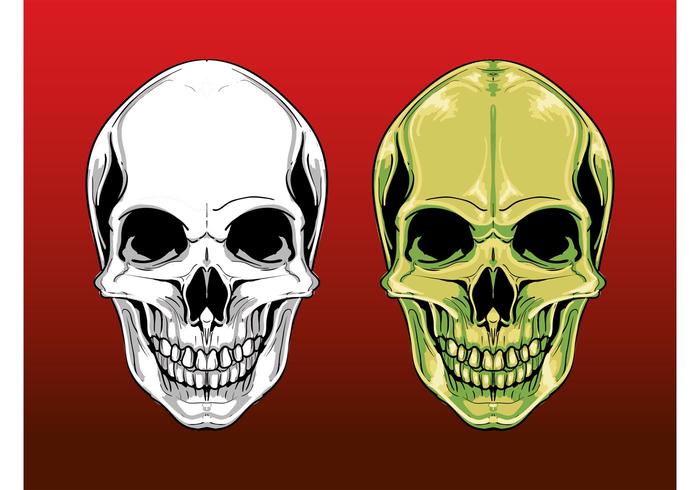 Scary Skull Graphics Scary Skull Graphics