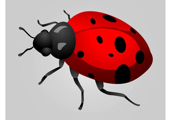 Ladybird Graphics Ladybird Graphics