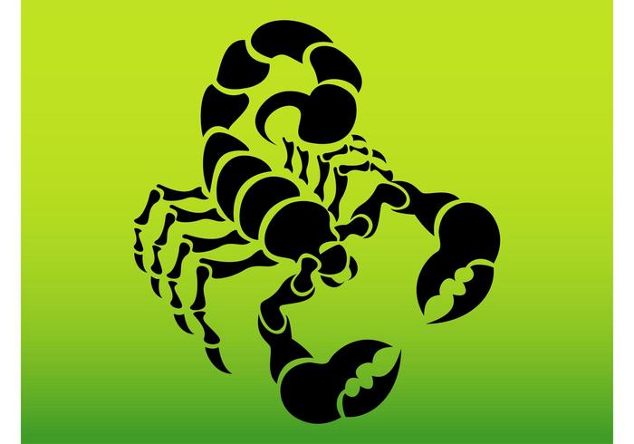 Scorpion Silhouette Vector - Download Free Vector Art, Stock Graphics ...