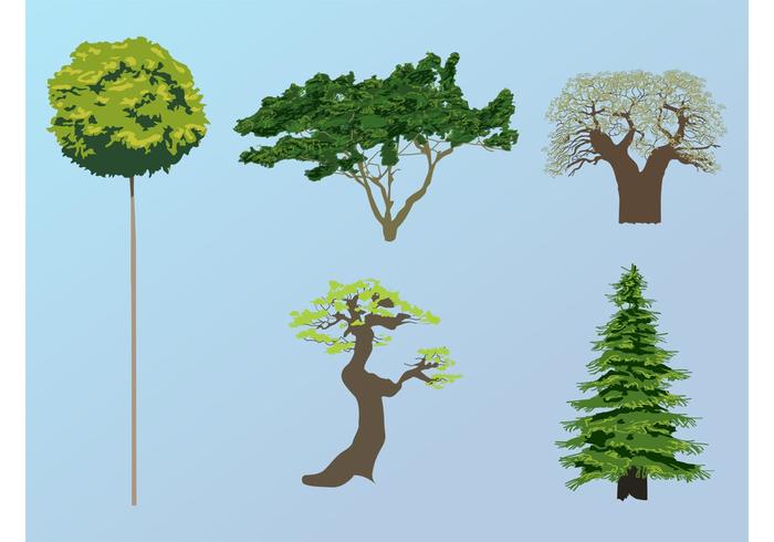 Tree Vectors