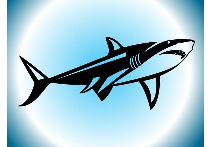 Shark Silhouette Shark Silhouette