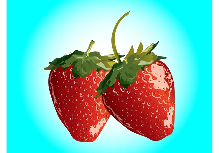 Fresh Strawberries Fresh Strawberries