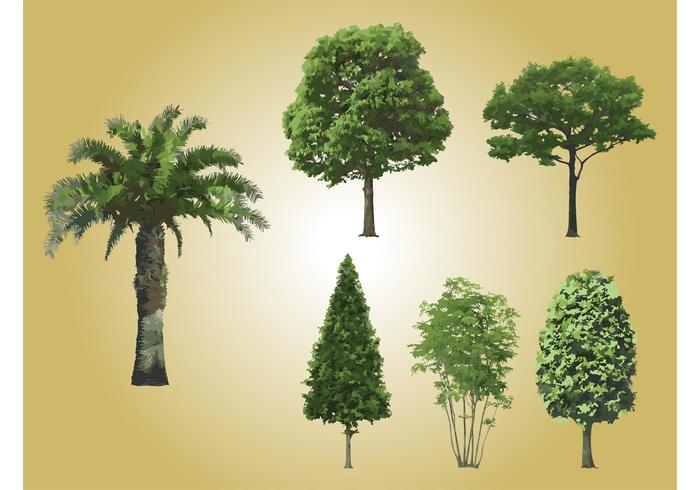 Realistic Tree Vectors