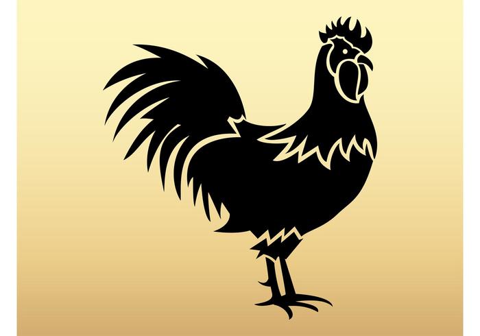 Vector Cock Vector Cock