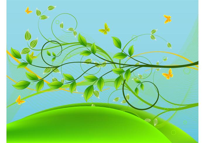 Fresh Spring Nature Fresh Spring Nature