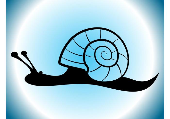 Vector Snail Vector Snail