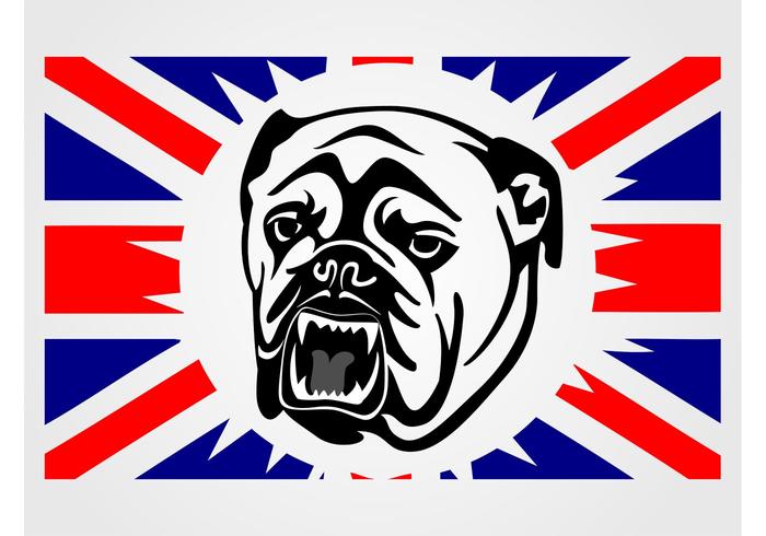 UK Bulldog Vector