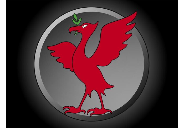 Liverpool Bird Liverpool Bird