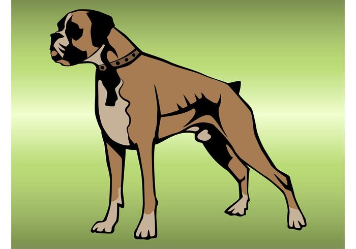 Boxer Dog - Download Free Vector Art, Stock Graphics & Images