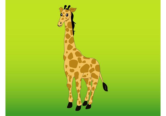 Giraffe Vector Giraffe Vector