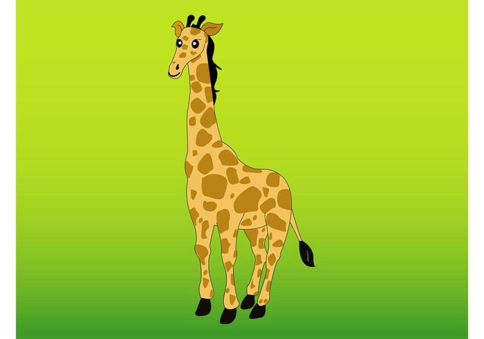 Giraffe Vector