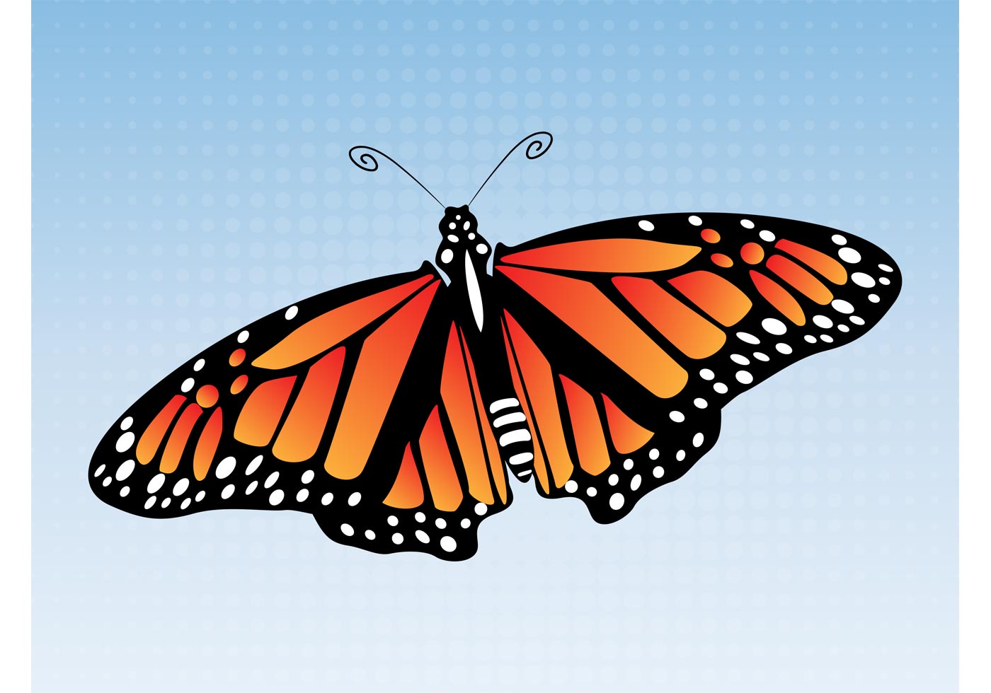 Download Butterfly Illustration - Download Free Vector Art, Stock ...