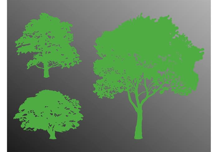 Trees Silhouette Graphics