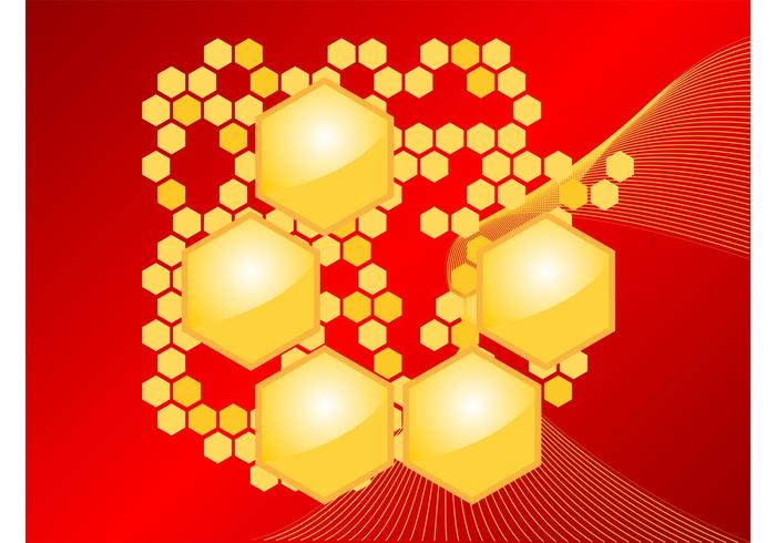Honeycomb Vector Honeycomb Vector