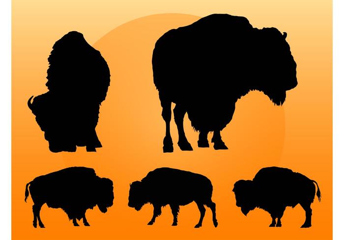Buffalo Silhouettes Buffalo Silhouettes